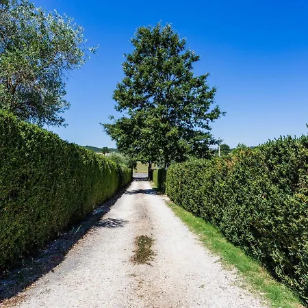 Apartamento Tuscan Countryside Casole dʼElsa