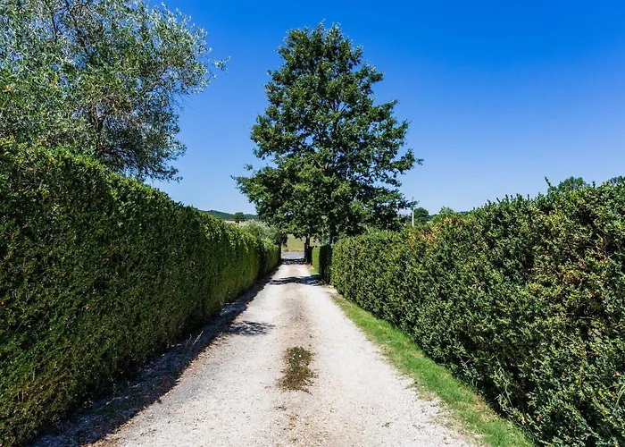 Appartamento Tuscan Countryside Casole dʼElsa