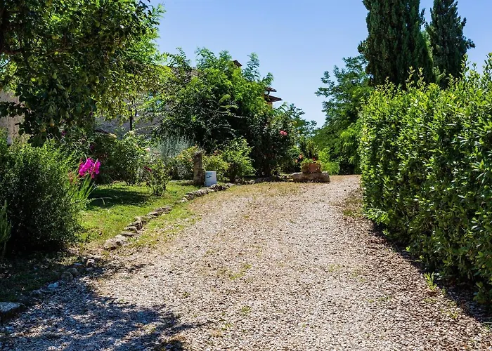 Tuscan Countryside Appartamento Casole dʼElsa